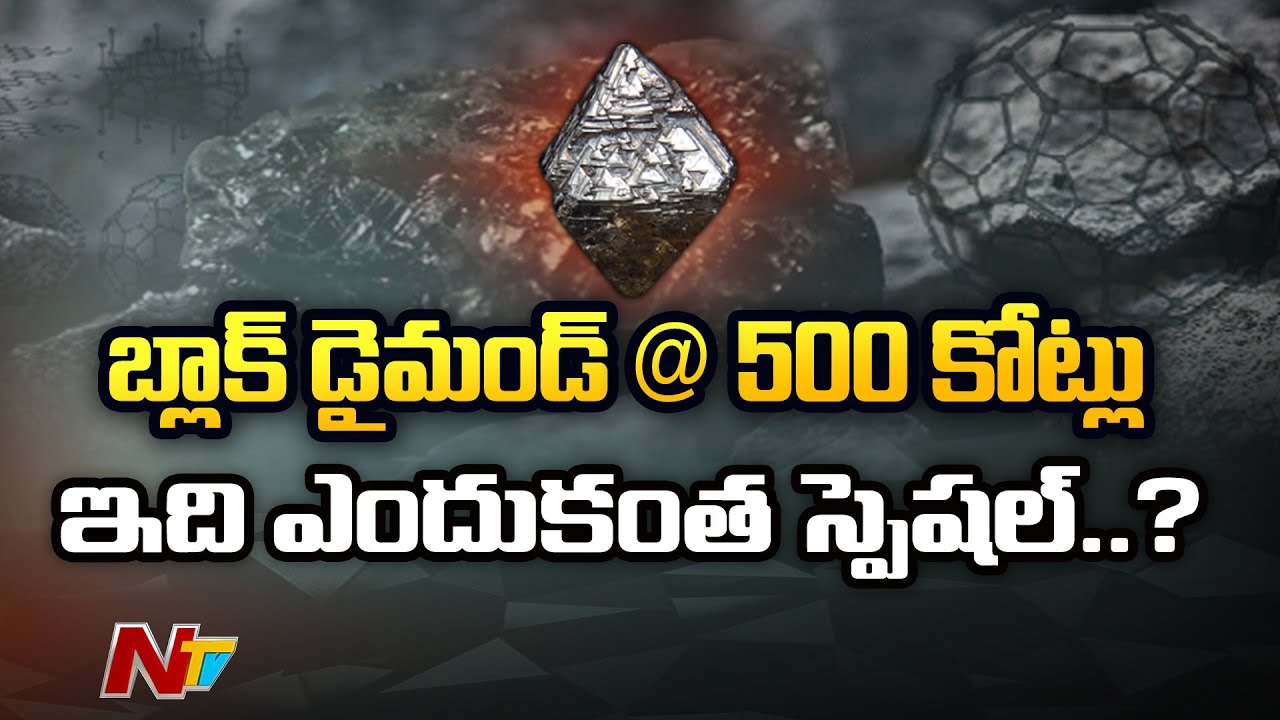 Rare Black Diamond to be Sold at Auction in February | Ntv