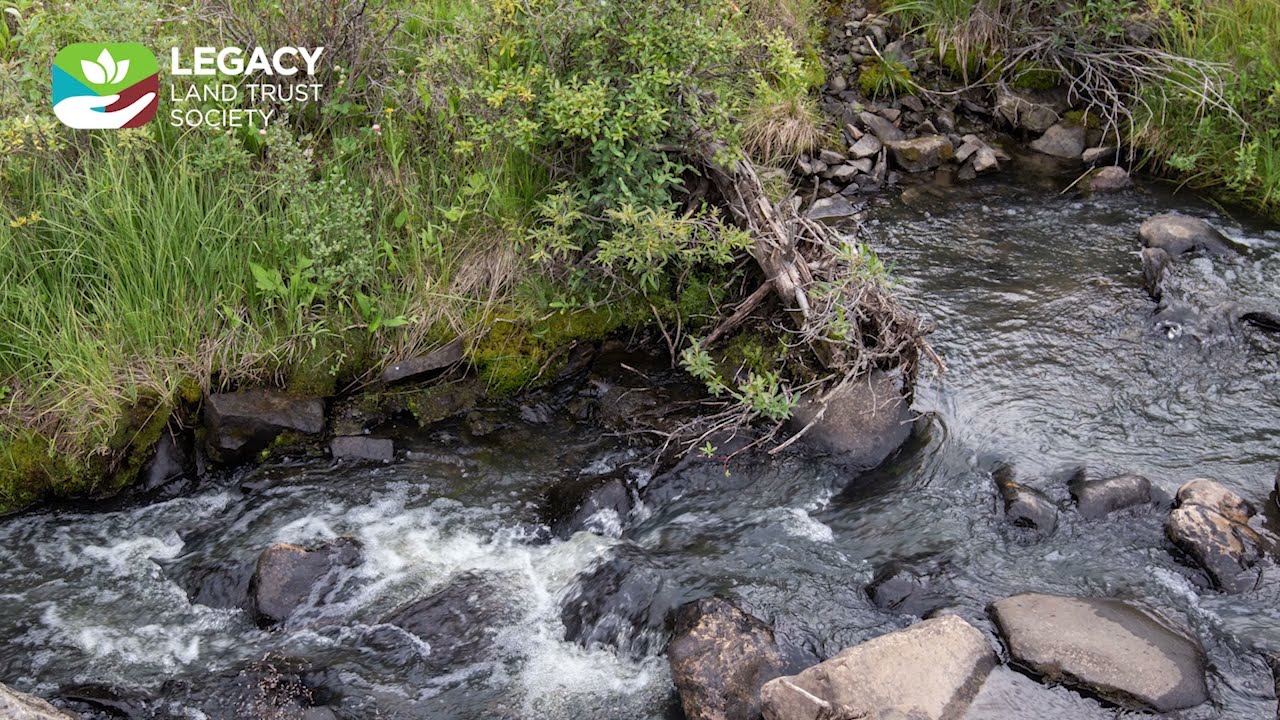 Introduction to Water Quality and You 2 0 - Legacy Land Trust Society