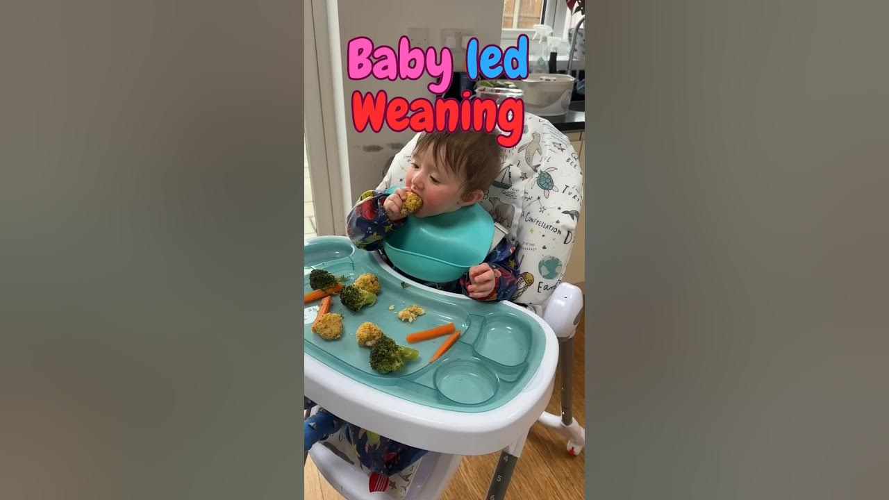 BABY LED WEANING MEAL IDEAS COD & COUSCOUS BALLS shorts YouTube