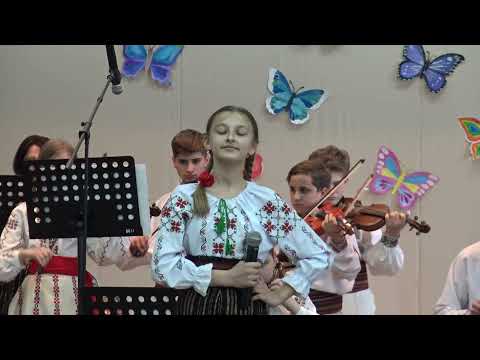 Concertul Secției Instrumente