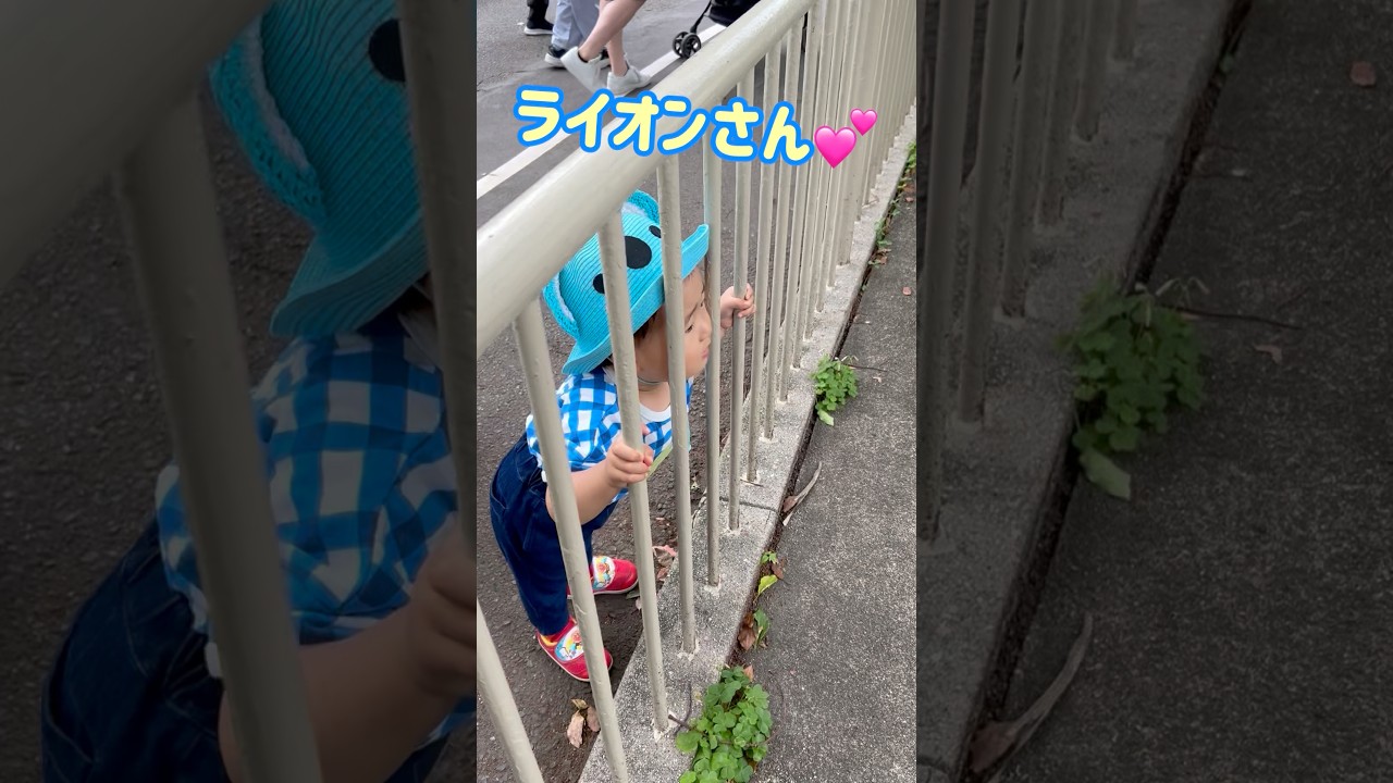 一生懸命みる姿が可愛い😂💓