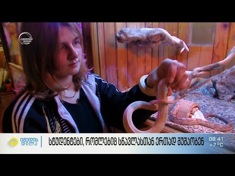 სტუდენტები, რომლებიც სწავლასთან ერთად მუშაობენ