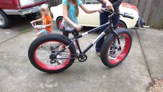 Everyone wants to ride my new Fat Bike