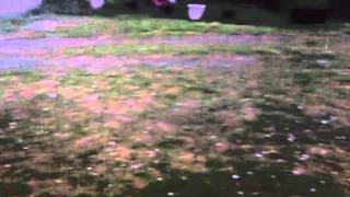 Kailua Hail storm