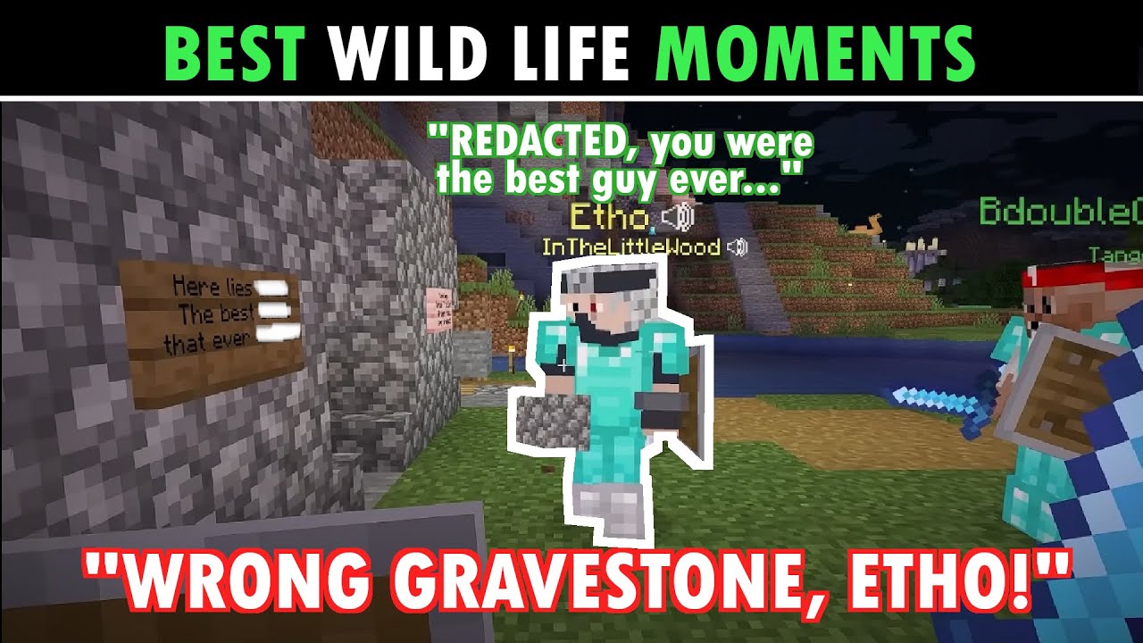 The Wild Life server slowly becoming an actual wildlife server... | Session 6 Best Moments