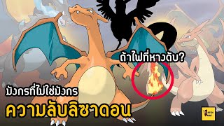 9 ความลับที่คุณไม่รู้ของแย้หางไฟ ลิซาดอน (Charizard) I 9Facts