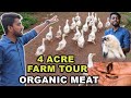 4ACRE !! FARM TOUR - Organic Meat without steroids !!