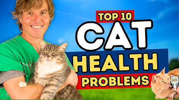 The 10 Most Overlooked Cat Health Problems + Holistic Remedies!
