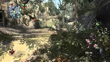 Fastest Capture the Flag Cod bo ( Jungle )