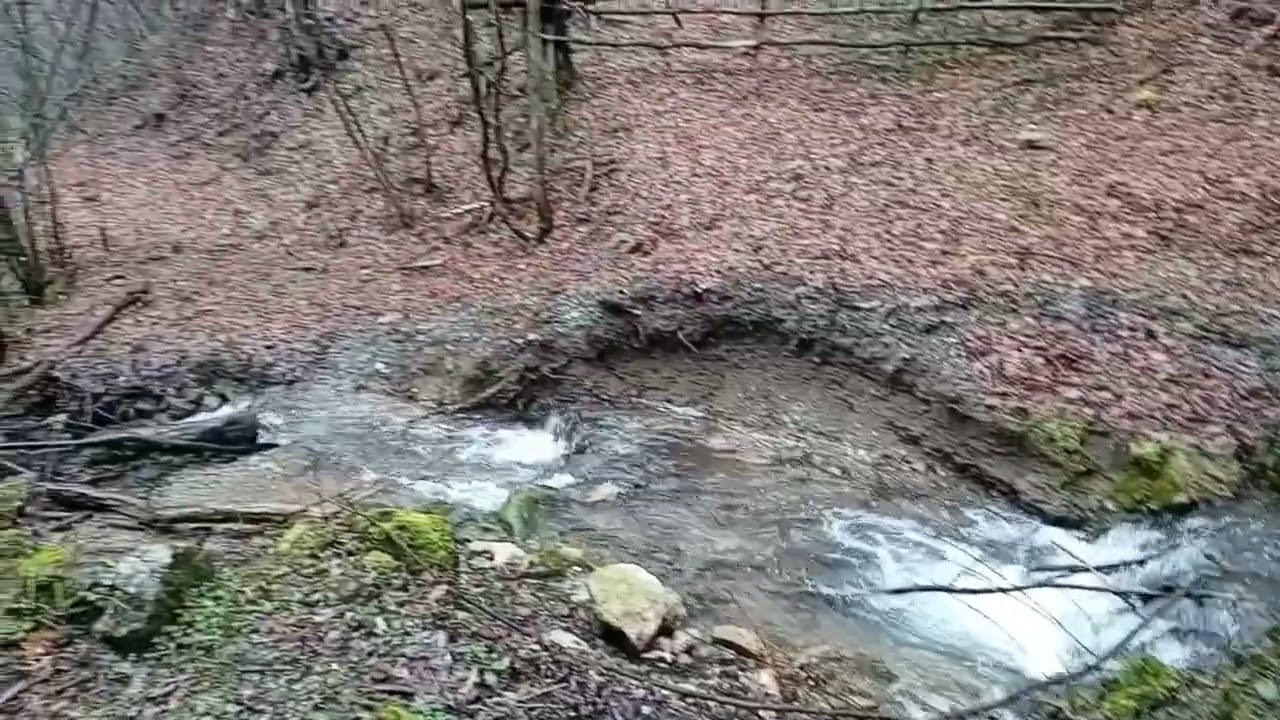 Megara Stapari 15.2.2026.