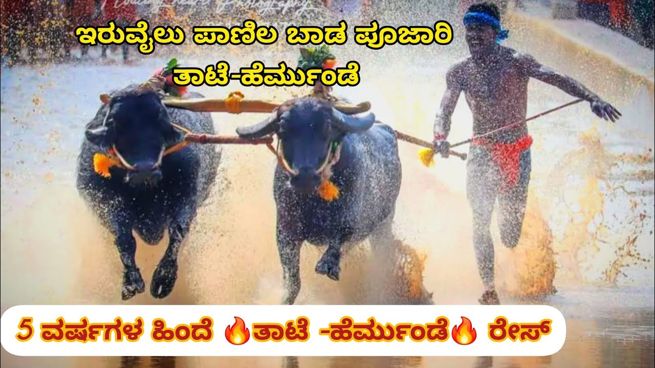 🔥5 years ago ♥️THAATE - Hermunde♥️ race🔥 in aikala kambala