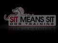 Dog training - who is alpha?