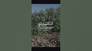 سورة قريش #اكسبلور #القران #اكسبلورهاشتاقات #القرآن_الكريم