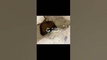 {وتحسبونه هينا وهو عند الله عظيم } سورة النور القارئ أحمد خضر #nada #قرءان #أجر #فلسطين #غزة