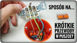 SPOSÓB NA KRÓTKIE PRZEWODY W PUSZCE ELEKTRYCZNEJ OD GNIAZDKA LUB ŁĄCZNIKA | ForumWiedzy