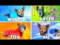 Four Elements Dog Challenge - Fire, Water, Earth &amp; Air Dogs