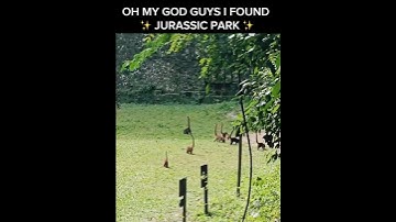 I FOUND JURASSIC PARK 😱🤯 #dinosaurs #jurassicworld #viral
