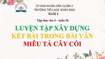TLV Lớp 4 Tuần 26 - Luyện tập xây dựng kết bài trong bài văn miêu tả cây cối