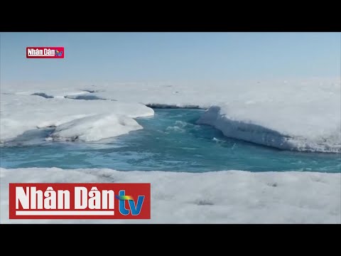 Video: Các sông băng di chuyển nhanh nhất ở đâu?