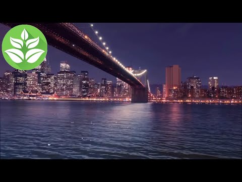 White noise of sea water, surf and night city noise under the Brooklyn Bridge (10 Hours)