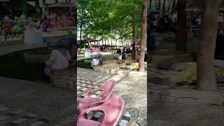 Pantai Sasak Pohon 1000 Pasaman Barat Sumbar