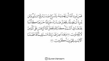 القارئ سعد الغامدي - سورة الأنعام - من الآية 125 إلى الآية 126