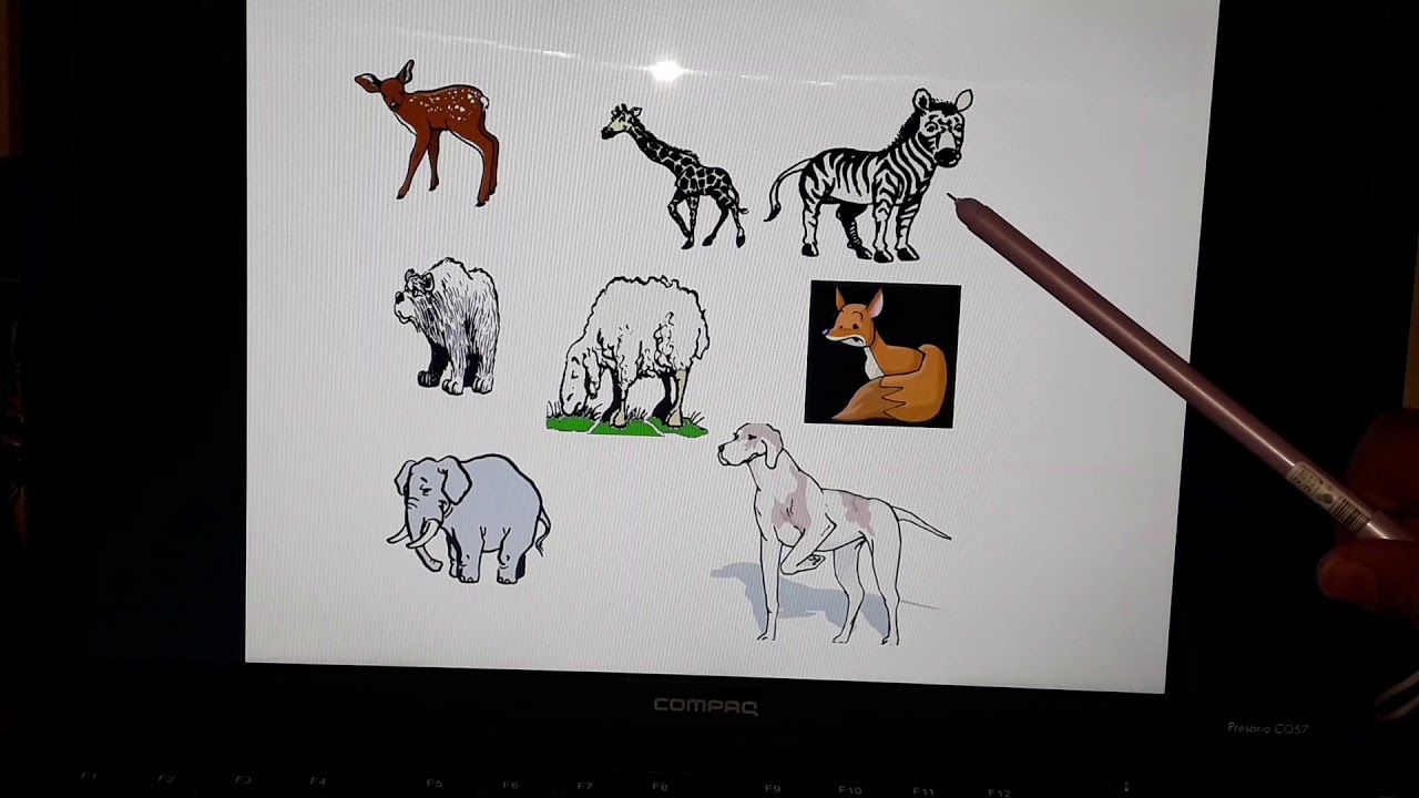 5AP situation de départ ,Projet 1: au zoo