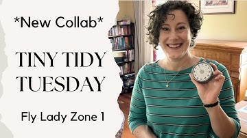 Tiny Tidy Tuesday - Zone 1 | *NEW Collab*