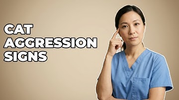 What Are Signs Of Cat Territorial Aggression?