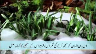 Beautiful Quran Surah Al-Fajr In Urdu Must See very Emotional!!