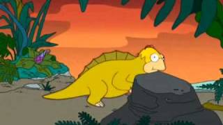 The Simpsons - Evolution