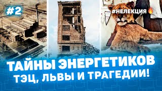 ТАЙНЫ ЭНЕРГЕТИКОВ КУРГАНСКАЯ ТЭЦ, ЛЬВЫ И ТРАГЕДИИ 2!  - НЕ ЛЕКЦИЯ 🔥 фото Курган -  Мульти История