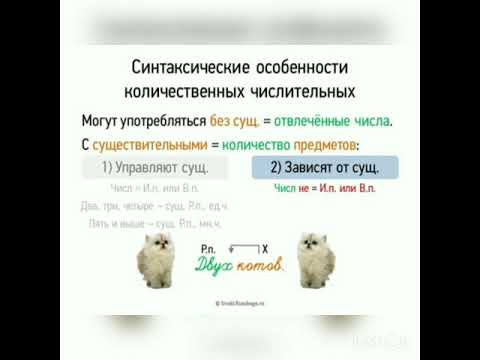 Русский язык 7-класс Употребление количественных и собирательных числительных с существительными