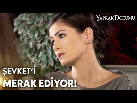 Huzur Ferhunde'ye fazla geliyor! - Yaprak Dökümü Özel Klip