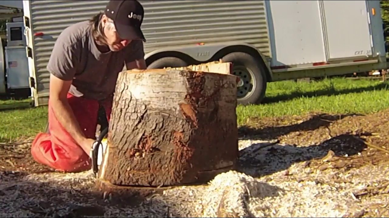 Maple STUMP REMOVAL!! YouTube