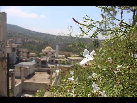 الناجية راجعلك يابلادي 