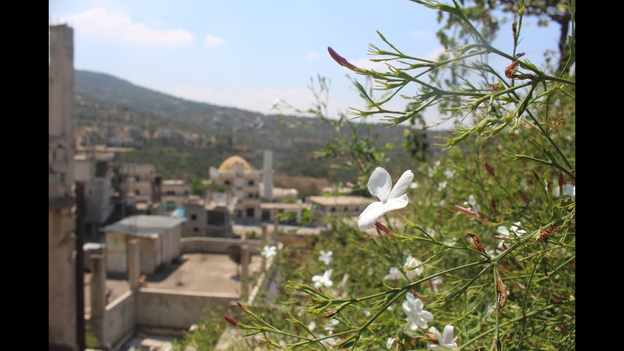 الناجية _ راجعلك يابلادي