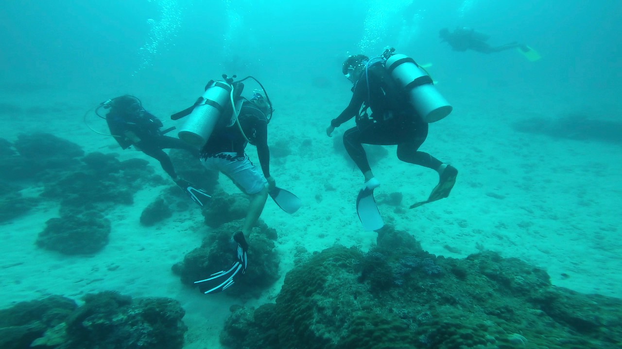 GoPro 4 | Scuba Diving @ Pulau Redang (Mar'2017) #aadiveinc - YouTube