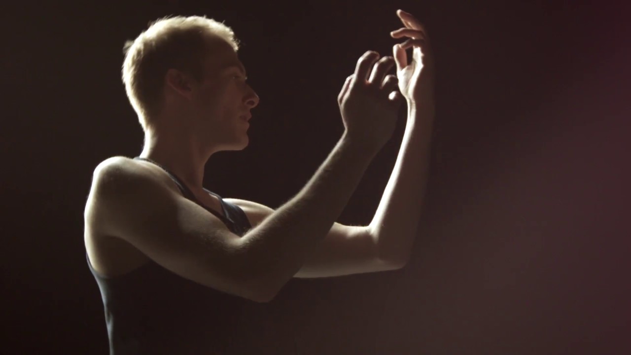 Lerchengesang (Larksong)