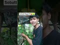 mana nih sobatt ngaritt yang lain sini ngumpull✌✅ #semuaorang #masukberanda