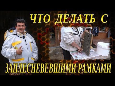 Видео: Как изменить свой внешний вид: 12 шагов (с изображениями)