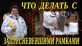 ПЧЕЛОВОДСТВО Пчелиный Шалаш