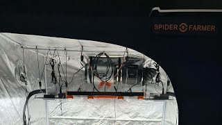 Diy Ebb an flow autoflower run SpiderFarmer 5x5