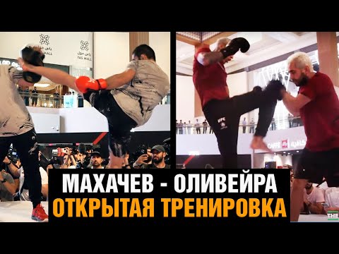 Махачев и Оливейра показали форму перед боем  Открытая тренировка перед UFC 280