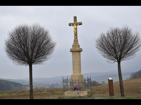 Video: Rozdíl Mezi Kostelem A Farností