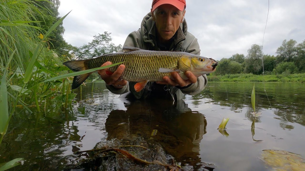 «Вода поднимается. Ушёл вверх по реке» - YouTube