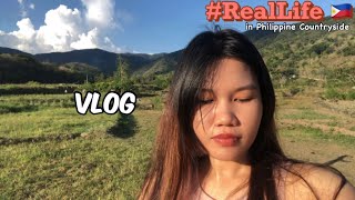 🇵🇭 HOW FILIPINA LIVES IN PHILIPPINE COUNTRYSIDE, VLOG, FARM LIFE, PAPAYA