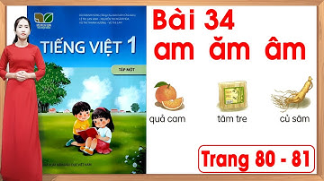 Tiếng việt lớp 1 kết nối tri thức bài 34 |am ăm âm