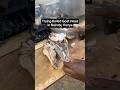 I tried boiled goat head in Nairobi, Kenya