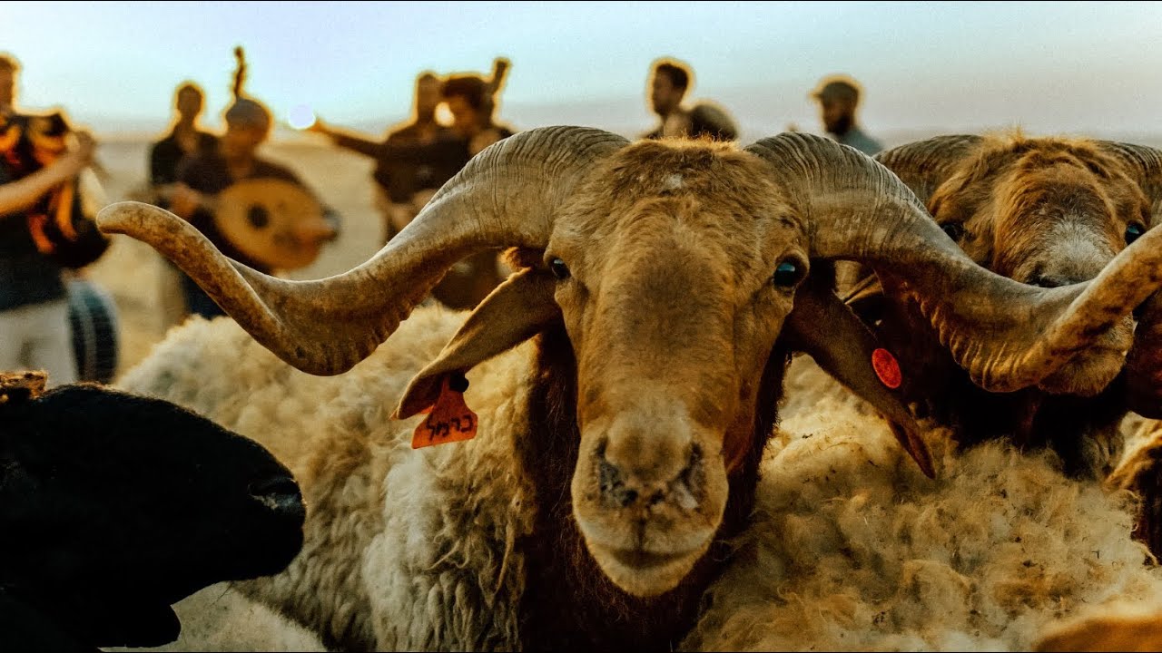 פרוייקט דאפה - דבקה רפיח ‏ ״دبكة رفح״